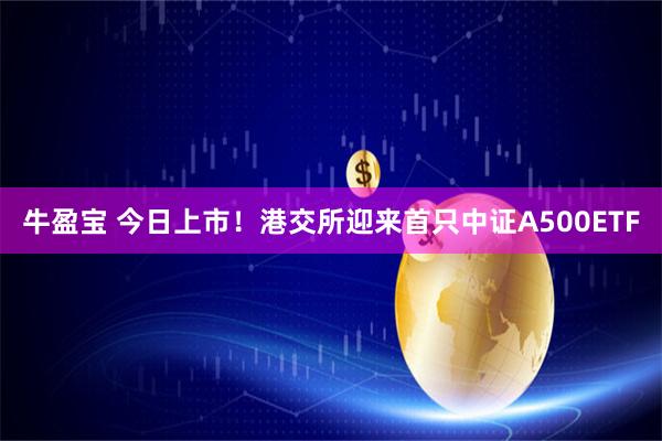 牛盈宝 今日上市！港交所迎来首只中证A500ETF