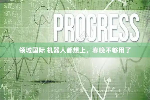 领域国际 机器人都想上，春晚不够用了